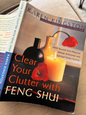clear your clutter book