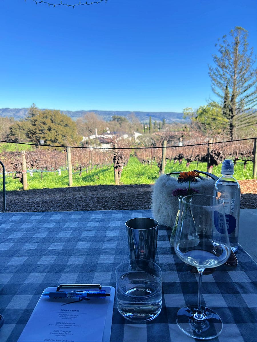 the view of valley while wine tasting at Matthiasson winery